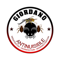 Giordano Antinuisible - Dératisation, Désinfection, Désinsectisation