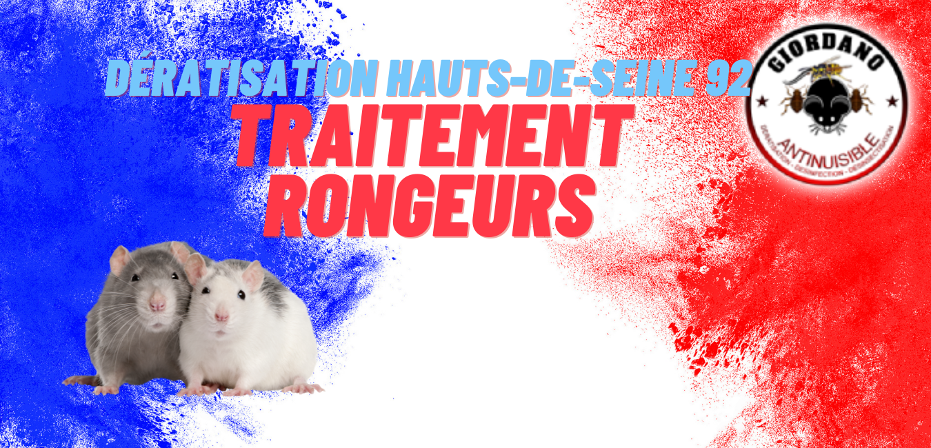 Dératisation hauts de Seine