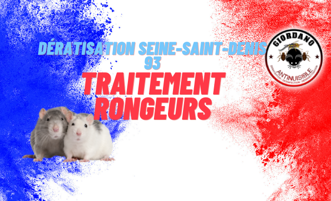 Dératisation Seine Saint Denis