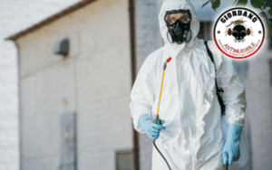 traitement chimique punaises de lit paris