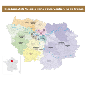 Destruction nid de guêpes Le Plessis Pâté