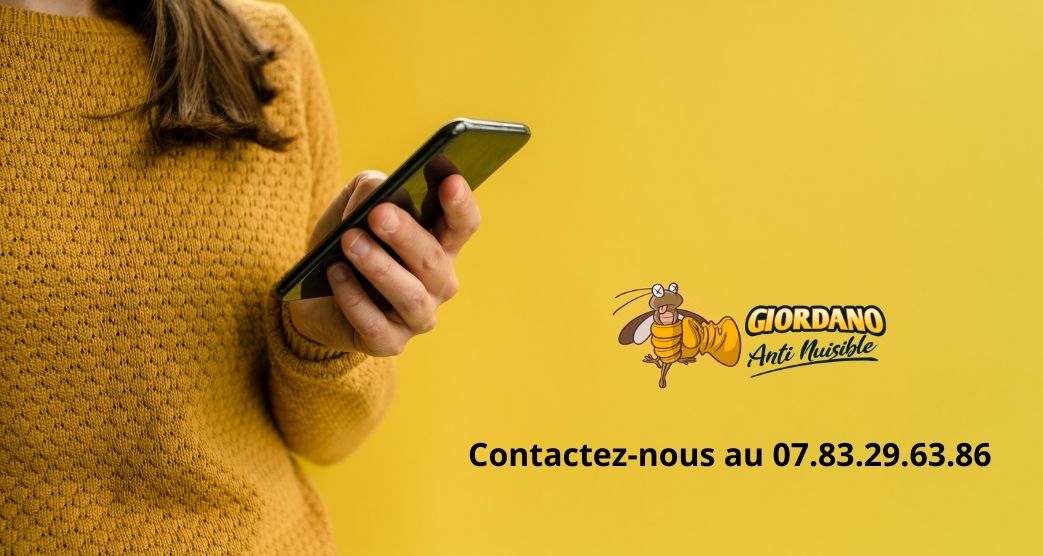 Intervention désinsectisation paris