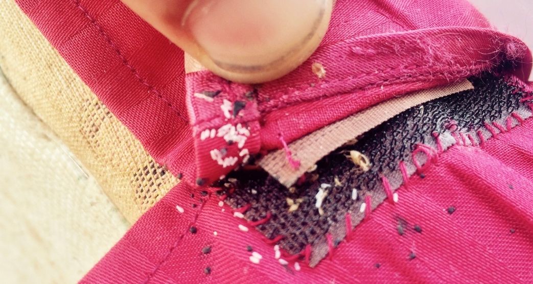 cachette punaises de lit